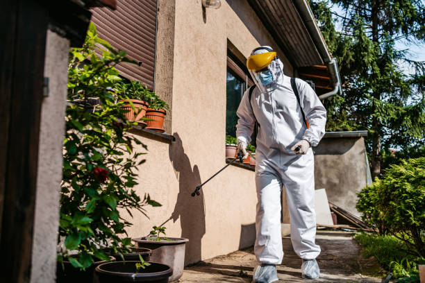 Best Residential Pest Control  in Rock Springs, WY