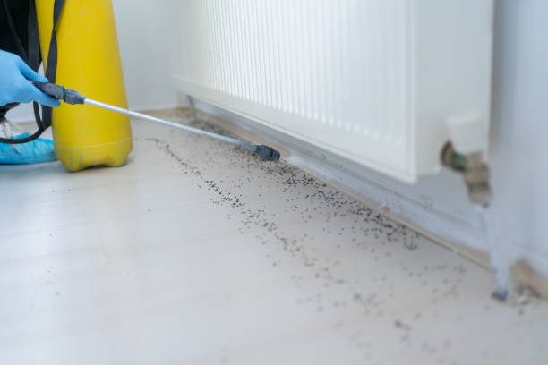 Best Exterminator Services  in Rock Springs, WY